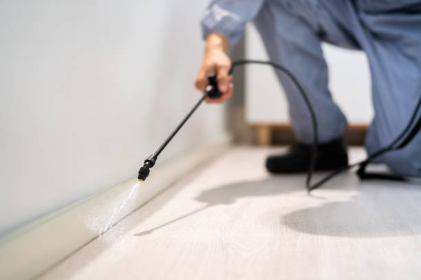 Licensed Ant Control service in Baker County County, FL - Nex Pest Control